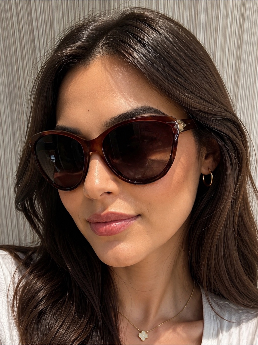 Prada Oversized Cat-Eye Sunglasses - Tortoiseshell Brown